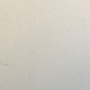 Meet your Posher, Frank